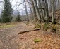 Cetatea dacică Fețele Albe  Foto Daniel Guță  ADEVĂRUL (103) jpg