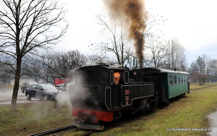 Mocănița Brad - Crișcior. Foto: Daniel Guță. ADEVĂRUL
