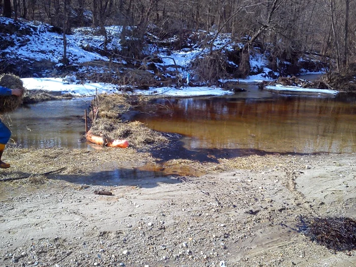 Ţiţeiul
scurs pe maluri şi în albia râului Cotmeana a afectat cursul de apă pe o
lungime de 5 km