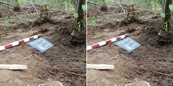 Șantierul arheologic de la Poiana Spinului din Țara Loviștei Vâlcea cu luptele din Primul Război Mondial Foto Daciana Stoica jpg