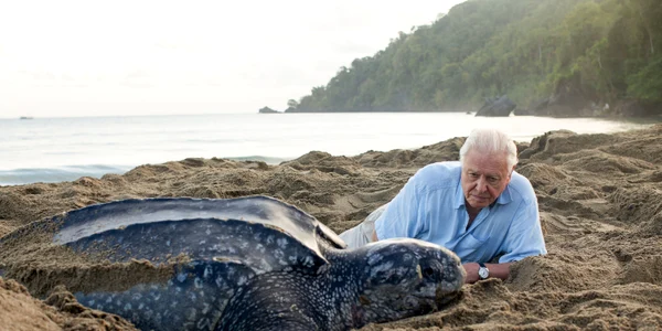 Sir David Attenborough jpeg