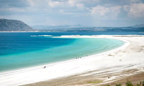 lac salda webp