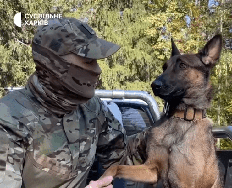 Povestea de film a unui soldat ucrainean care și-a revăzut câinele după jumătate de an. Jackie a parcurs 15 km de la uzina Azovstal până acasă FOTO, VIDEO