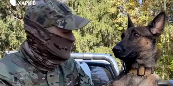 soldat ucrainean si cainele sau foto captura video