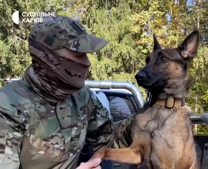 Jackie a venit ea însăși acasă, după ce a mers circa 15 km Foto: captură video