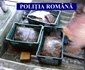 braconaj tulcea