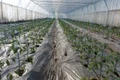 munca in solar februarie 2021