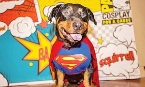 22 23 peglob foto11 135 90 gettyimages 1160682115 jpeg