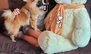 ana maria barnoschi caini jpeg