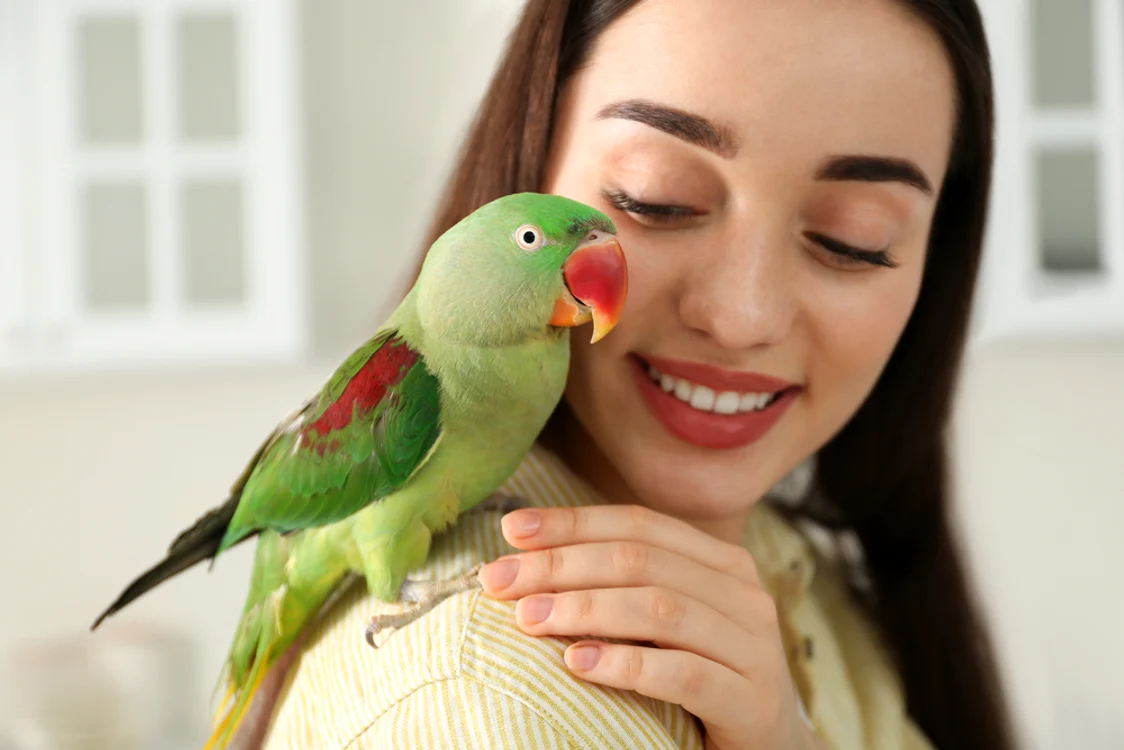 1 shutterstock 1690895956 jpg jpeg