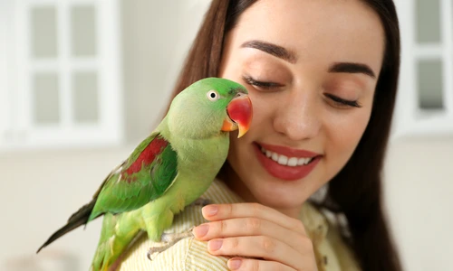 1 shutterstock 1690895956 jpg jpeg