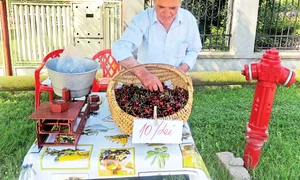 Ţăranul le vinde  în faţa porţii  cu 10 lei kg jpeg