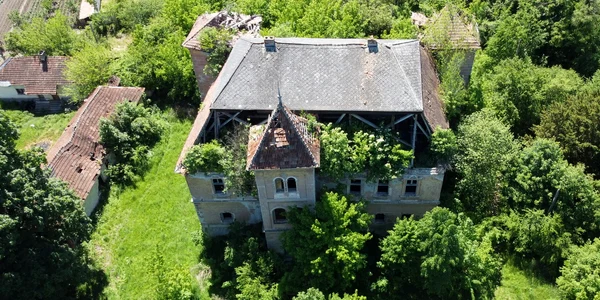 Castelul Nalați  Foto Daniel Guță (2) JPG