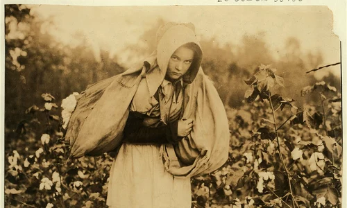 historia ro undefined jpeg