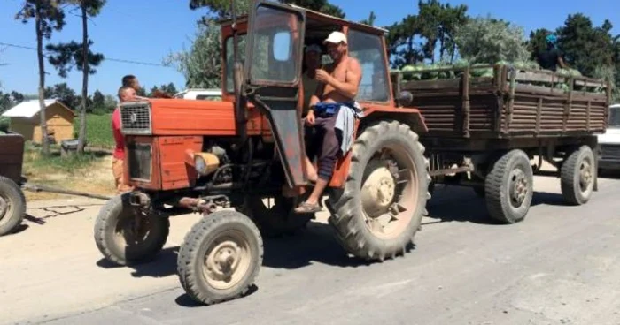 Pepenii de Dăbuleni pierd teren în faţa produselor aduse din Turcia şi Grecia Foto