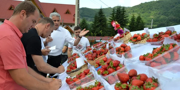 Festivalul căpsunelor 