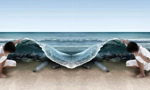 test auto webp