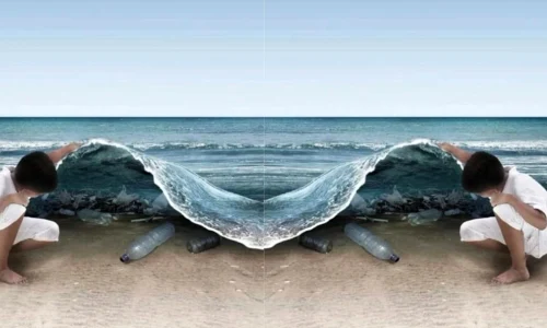 test auto webp