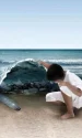 test auto webp