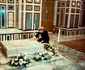 Împărăteasa Iranului, Farah Pahlavi, la mormântul soțului său, Mohammad Reza Pahlavi, ultimul Șah al Iranului. FOTO: Instagram