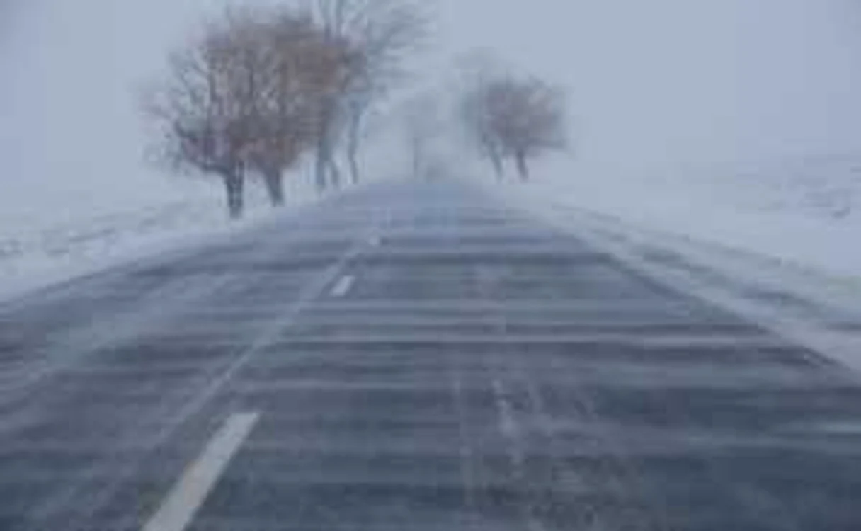 Viscol puternic în tot judeţul. FOTO: ADEVĂRUL
