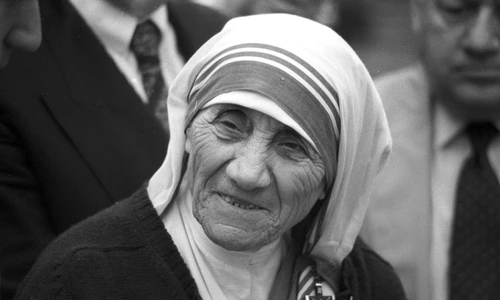 1 profimedia 0085562149 jpg jpeg