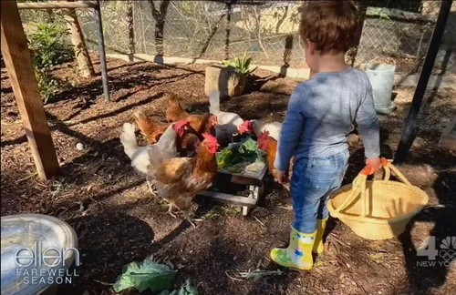 Archie la cotețul lui de păsări