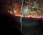 Incendiu de proporții pe Valea Oltului în comuna Racovița Vâlcea Foto ISU Vâlcea