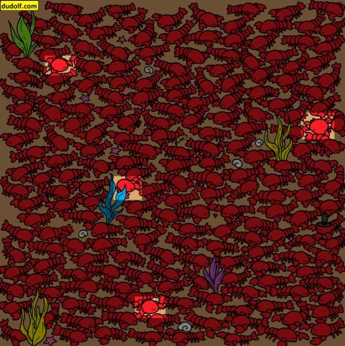 Rezolvarea provocării / foto: Dudolf