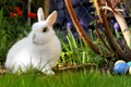 easter 2173193 1920 jpeg