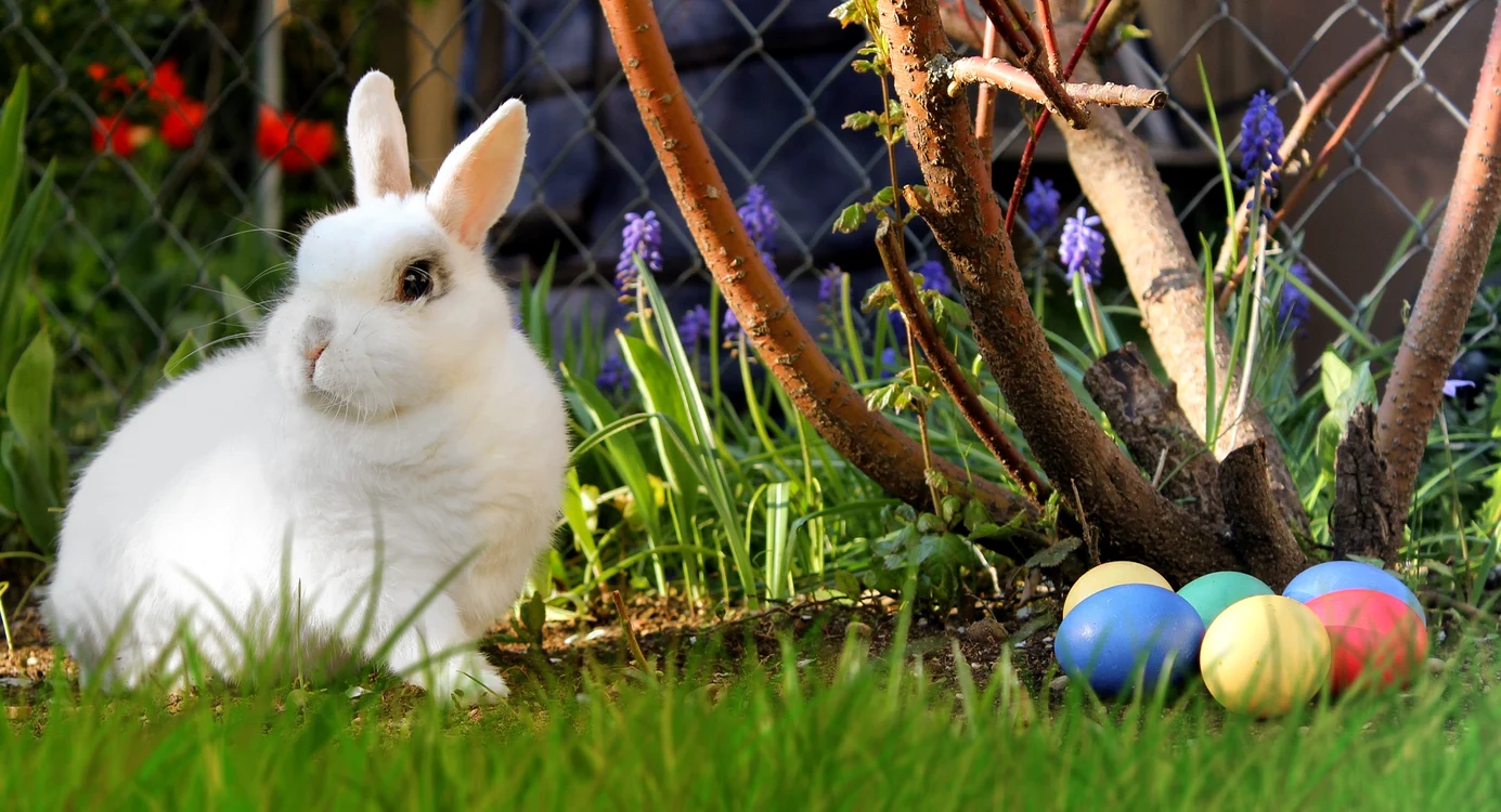 
    Ce destinație au ales românii de PașteFoto Pixabay.com  