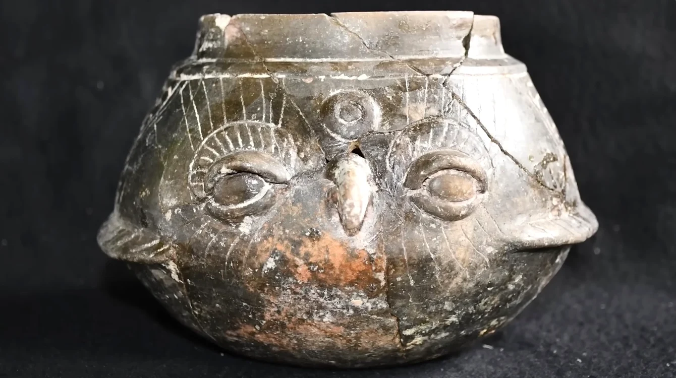 Vas ceramic negru modelat sub forma unei bufnițe, descoperit în mormânt (Foto: Profimedia)