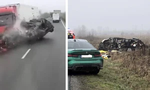 impact acc timis  jpg