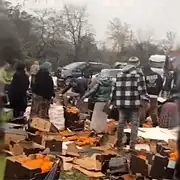 portocale 2  gif gif