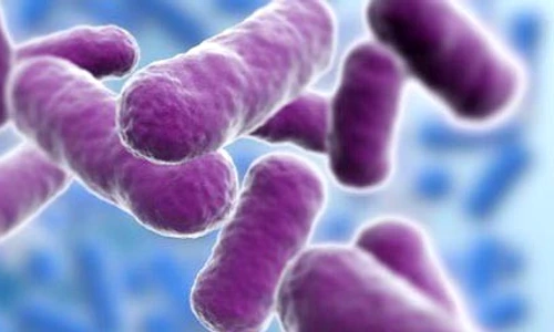 1 61335 original jpg jpeg