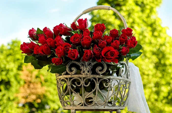 Coș de trandafiri / foto: Pixabay