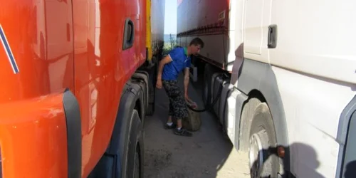 Cei doi tineri sunt cercetaţi acum pentru furt calificat