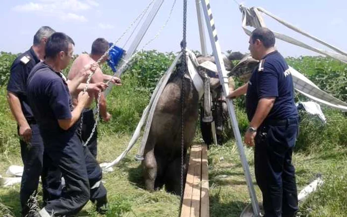 Intervenţia pompierilor a fost dificilă FOTO ISU Călăraşi