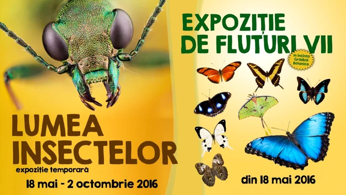 Afişul celor două expoziţii FOTO CMSN Galaţi