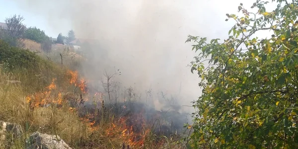 incendii vegetatie uscata