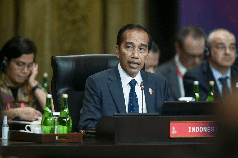 Preşedintele indonezian Joko Widodo a deschis summitul G20, avertizând împotriva divizării
