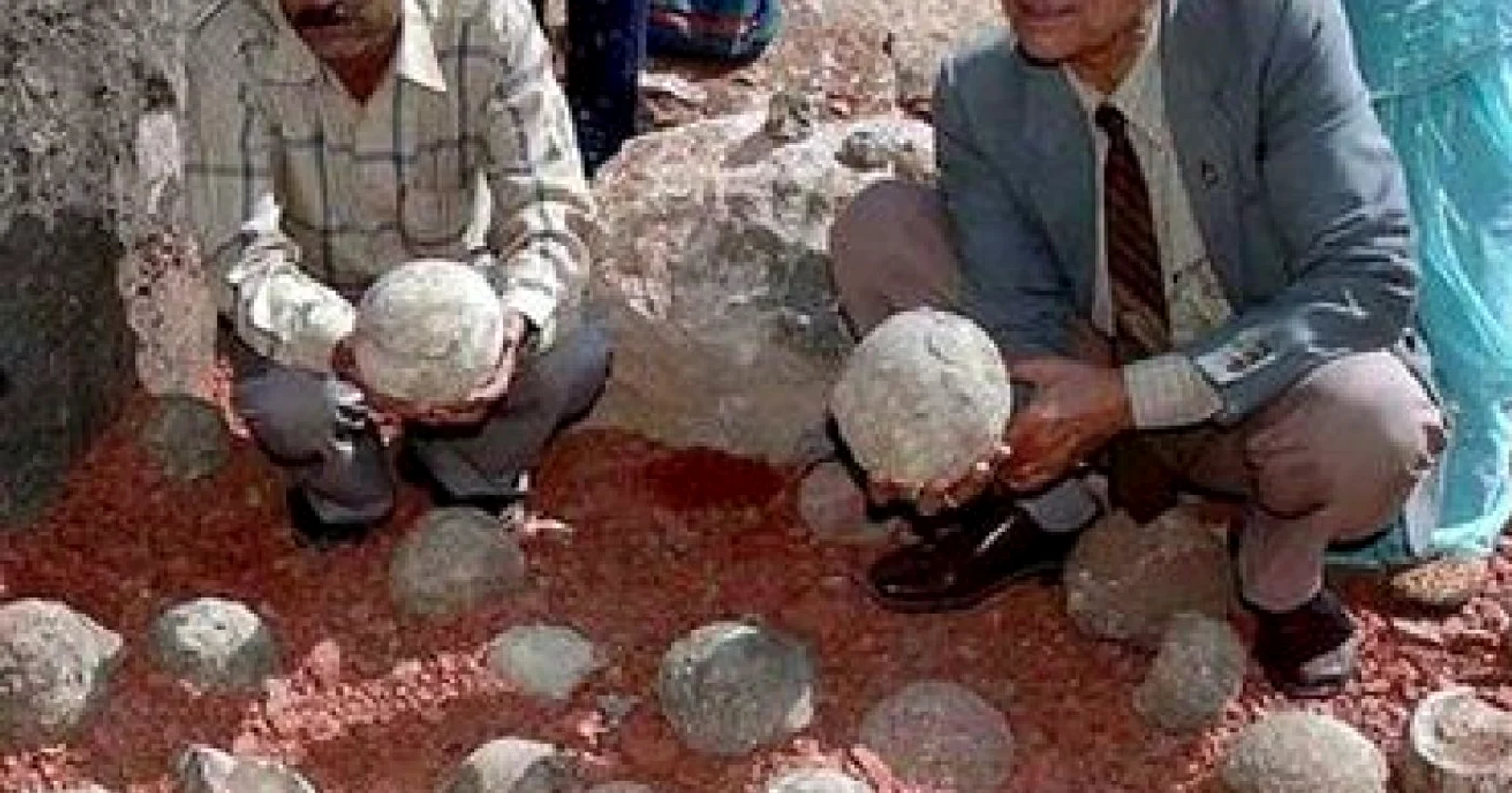 Sute de ouă de dinozaur, descoperite în India