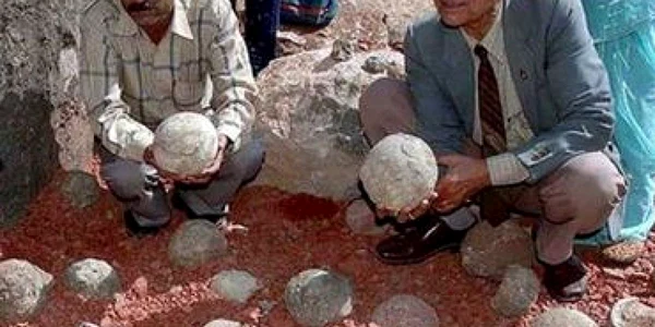 Sute de ouă de dinozaur, descoperite în India