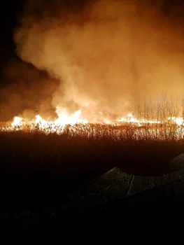 Incendiu vegetaţie la vărsarea Olăneştiului în Olt - în municipiul Râmnicu Vâlcea Foto ISU Vâlcea