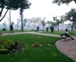 Parc antifonic din Podu Roş