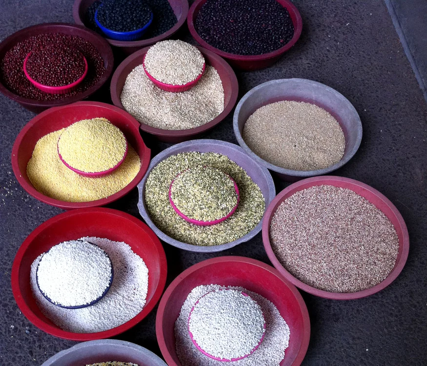 Golul ligheanelor de plastic jpeg