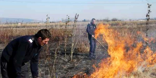 În 13 localităţi din judeţul Vâlcea pompierii s-au luptat cu flăcările care au cuprins peste 100 de hectare de vegetaţie uscată