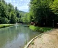 Moneasa (10) jpg