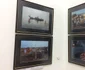 Expoziţia iNstantes la Muzeul de Artă Constanţa Foto Sînziana Ionescu