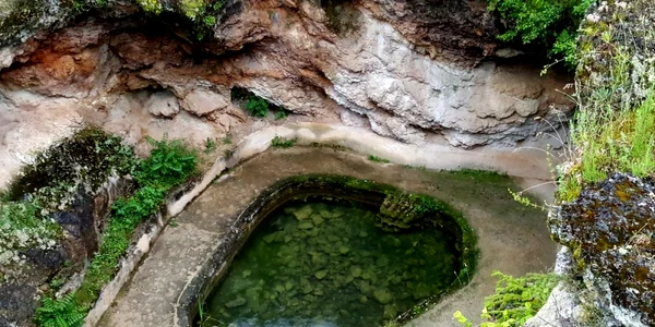 germisara